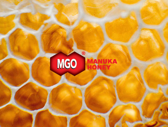 Manuka honey MGO medový plást